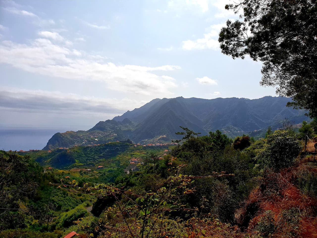 Skyline von Funchal / Madeira